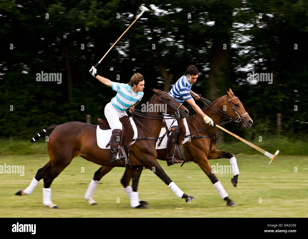 Joueurs de Polo à cheval maillets oscillante Banque D'Images