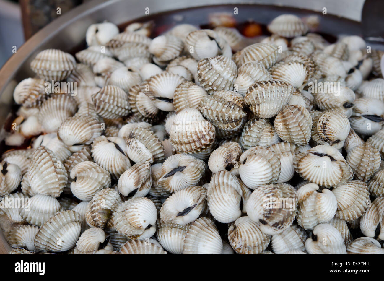 Frais plein les coques à la vente à un marché Banque D'Images
