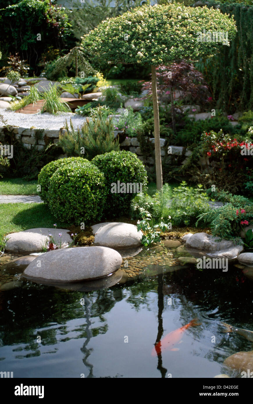Poisson rouge dans un petit jardin avec arbustes taillés et petit arbre au-dessus de gros rochers lisses Banque D'Images