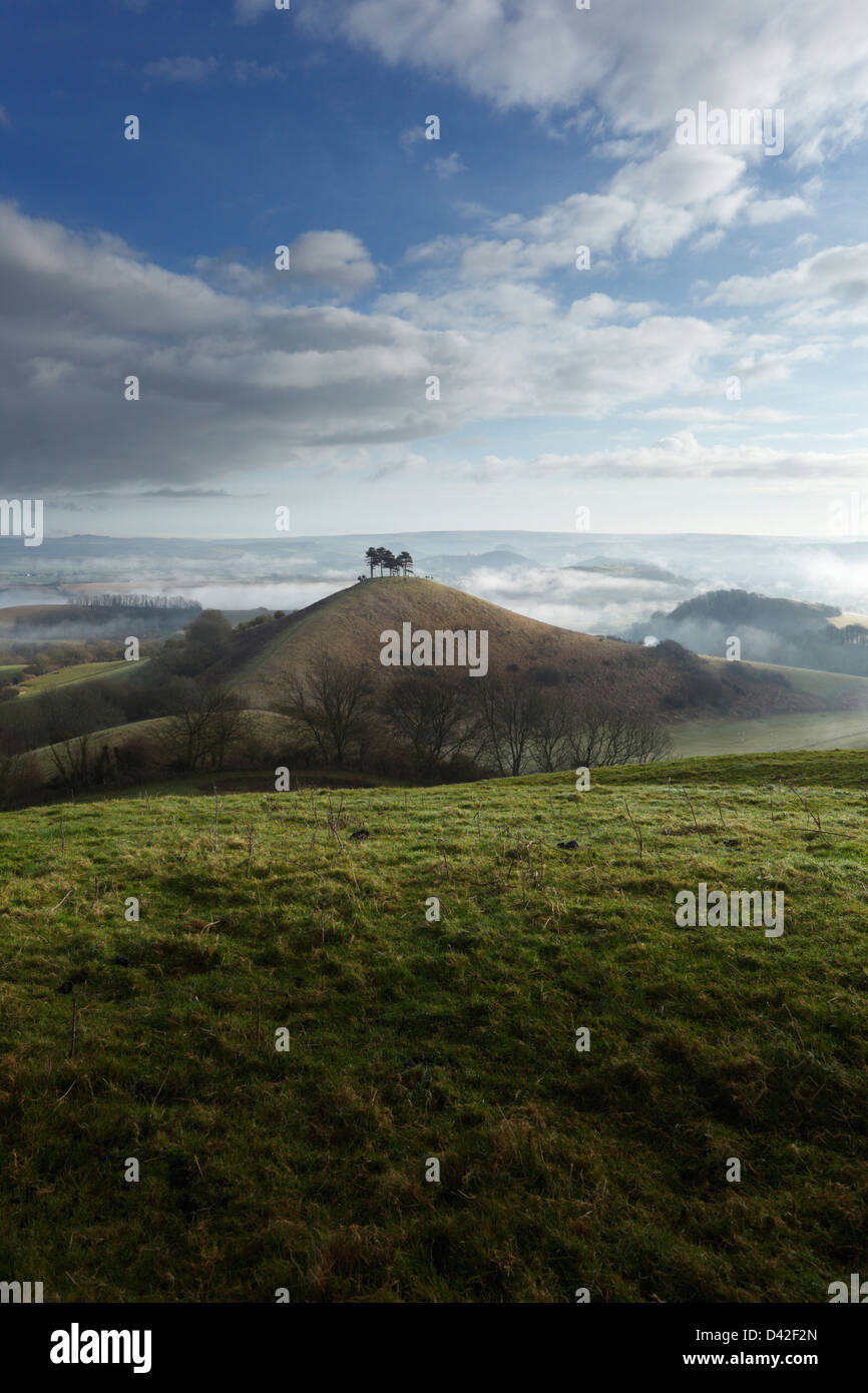 Mist clearing Colmer's Hill et la Marshwood Vale. Le Dorset. L'Angleterre. UK. Banque D'Images