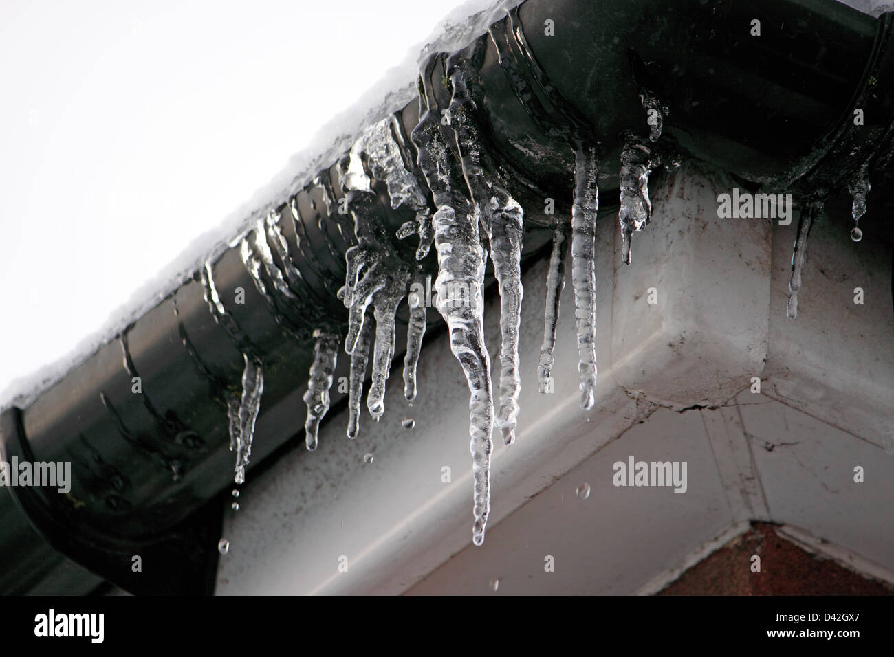 Les glaçons se suspendre à une gouttière de toit gelé. UK. Banque D'Images
