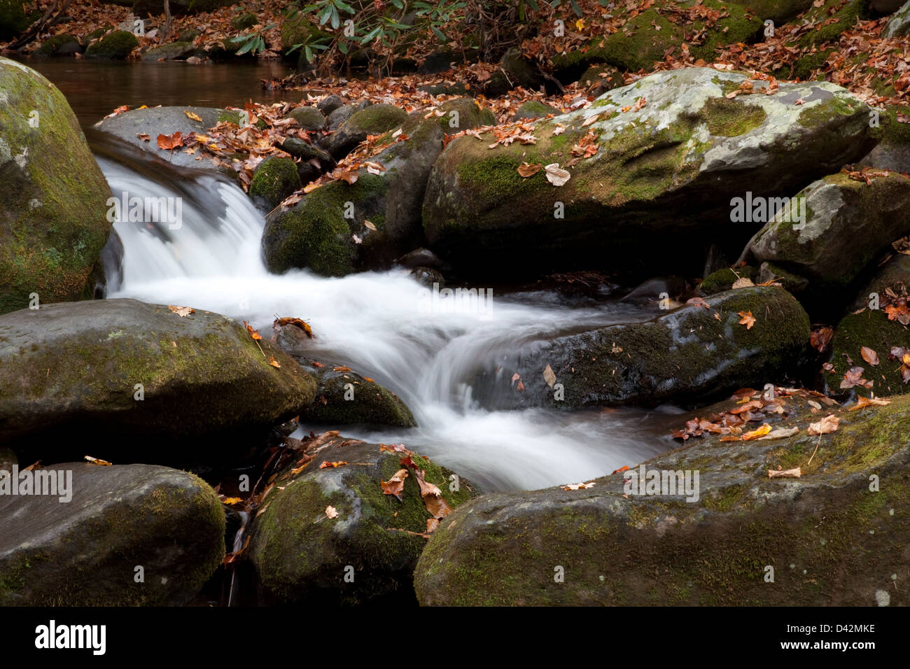 Ruisseau de montagne par des roches couvertes de mousse en cascade avec une feuille d'automne couvrant des pierres, un délice reposant touristiques Banque D'Images