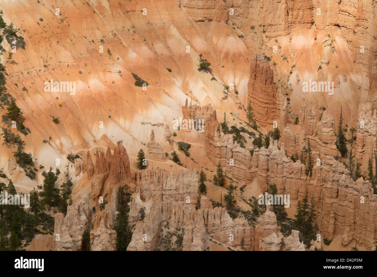 Bryce Canyon National Park, Utah, USA Banque D'Images