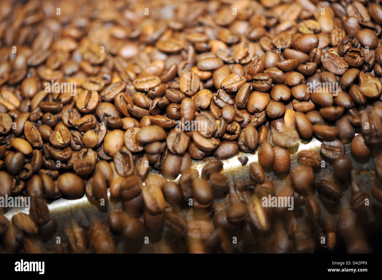 Berlin, Allemagne, si les grains de café torréfiés dans un Roest l'investissement dans l'usine Kraft Foods Banque D'Images