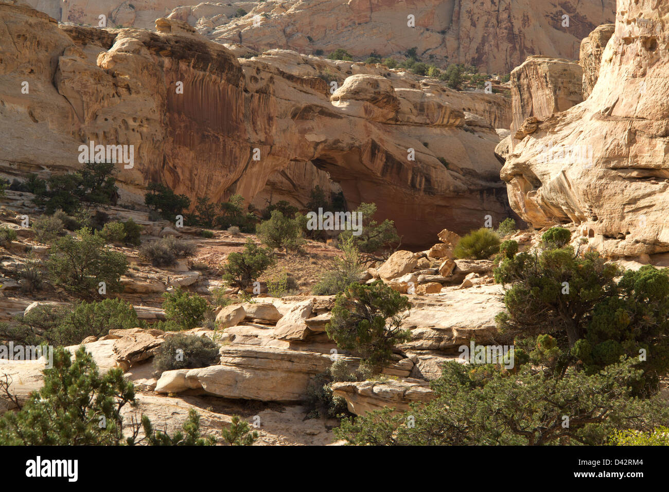 Capitol Reef National Park, Utah, USA Banque D'Images