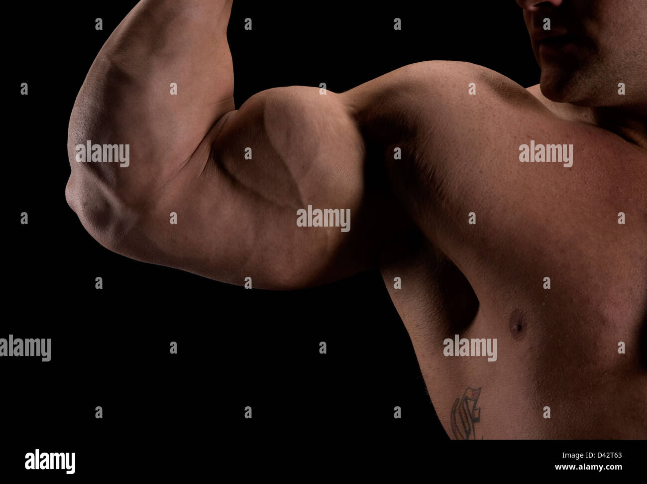 Freiburg, Allemagne, partie supérieure du bras d'un bodybuilder Banque D'Images