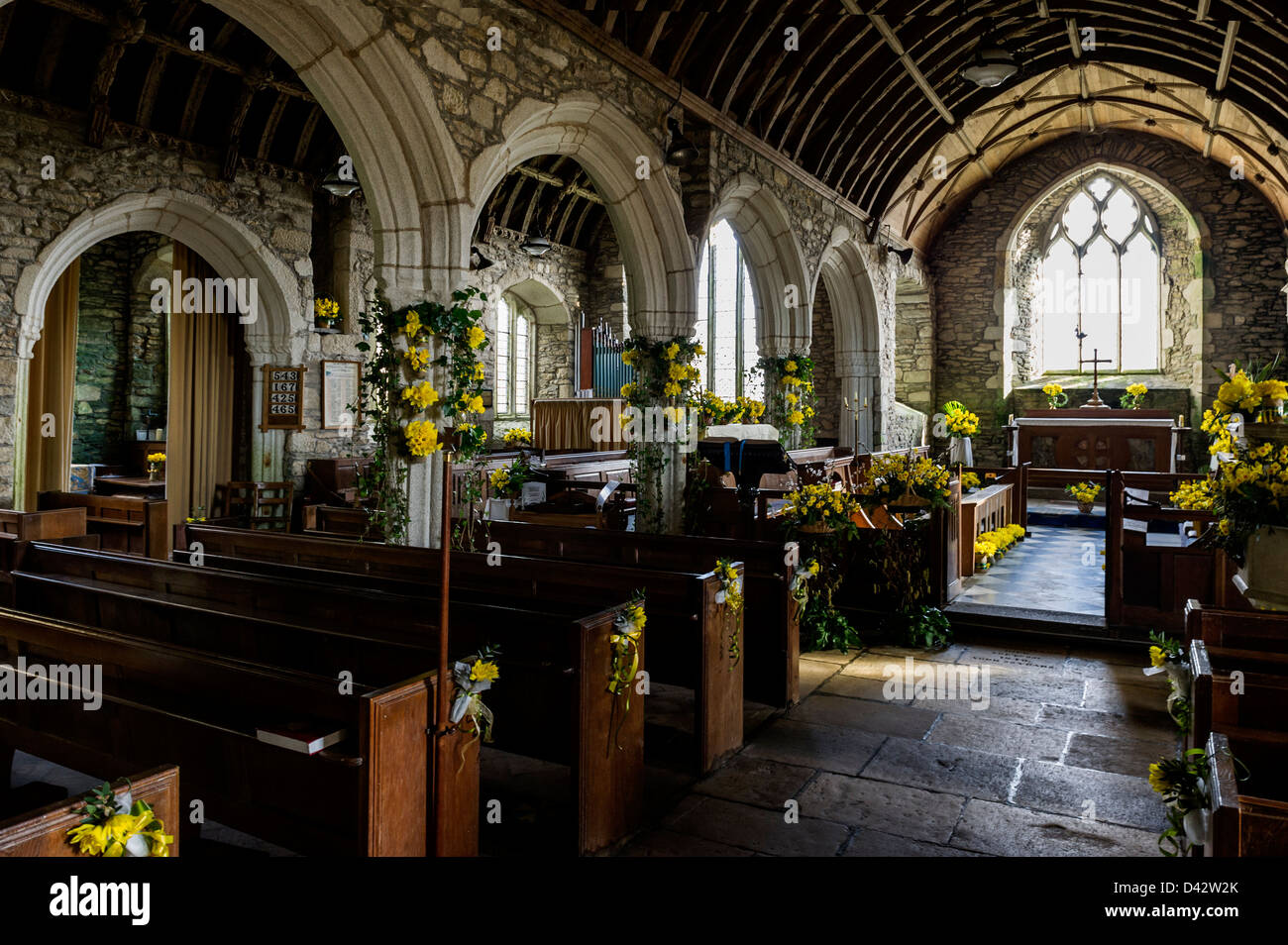 La Fête des jonquilles à St Mawgan-en-Meneage à Cornwall Église Banque D'Images