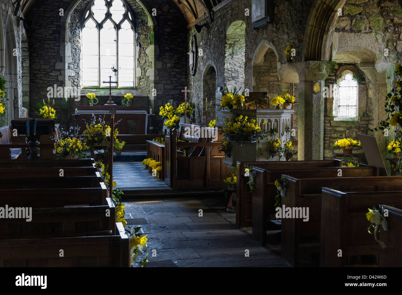 La Fête des Jonquilles à St Mawgan-en-Meneage Church à Cornwall. Banque D'Images