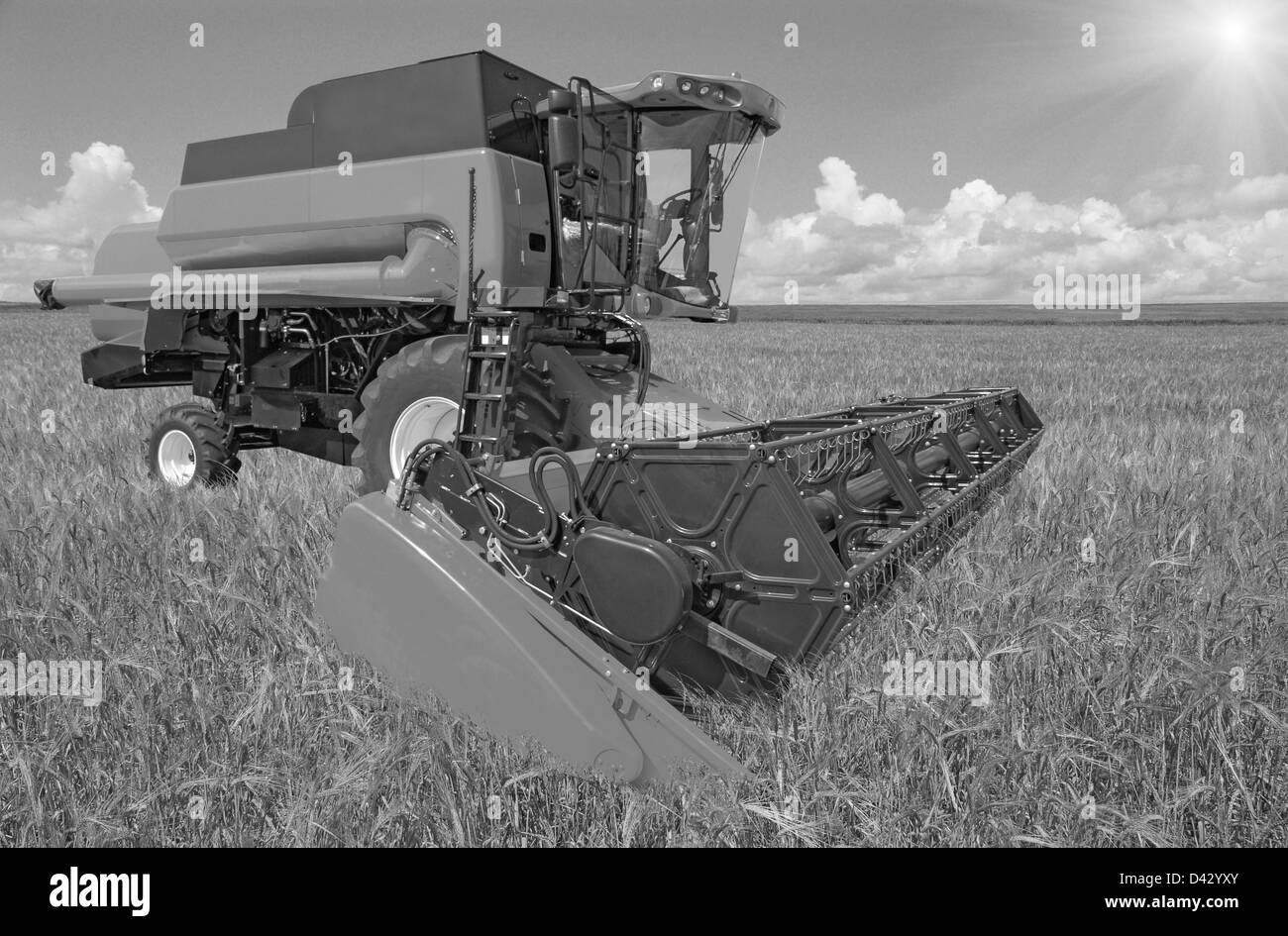 Moissonneuse-batteuse, sur un champ de blé avec un ciel Banque D'Images
