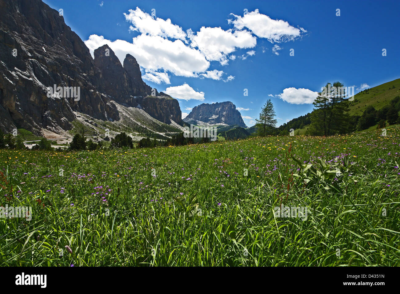 Montagne Val Badia, Gadertal, Alto Adige, Italie, Nature Banque D'Images