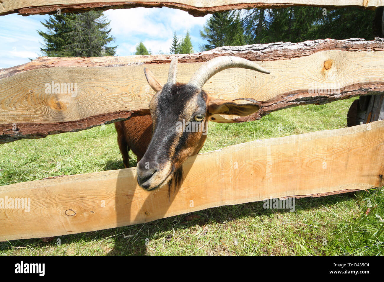 Montagne Val Badia, Gadertal, Alto Adige, Italie, Nature, Banque D'Images