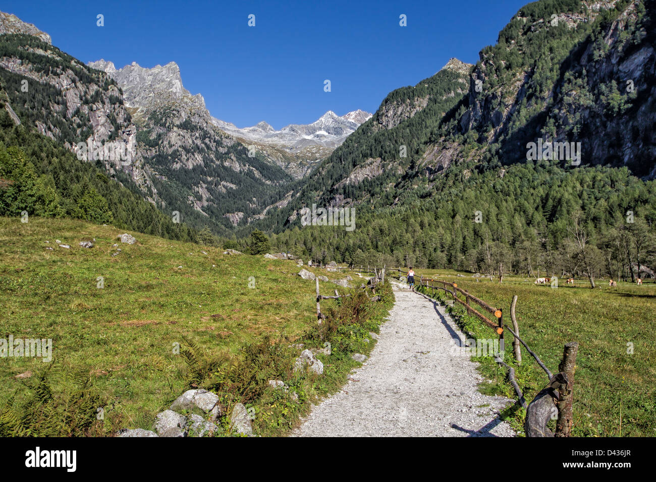 Val Masino, Valtellina, montagne, Italie, Nature Banque D'Images
