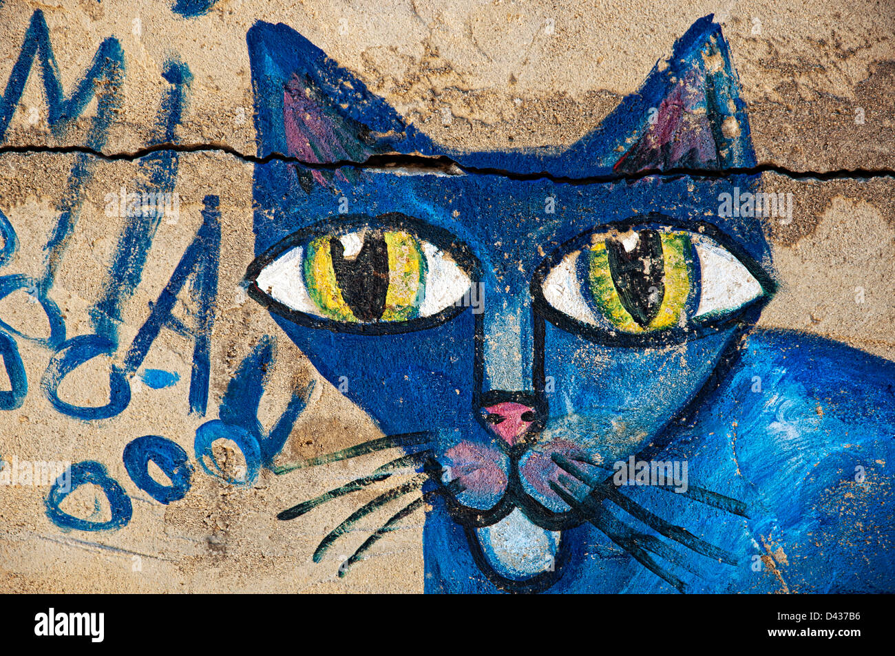 Chat Bleu Peint Sur Un Mur Ibiza Espagne Photo Stock Alamy