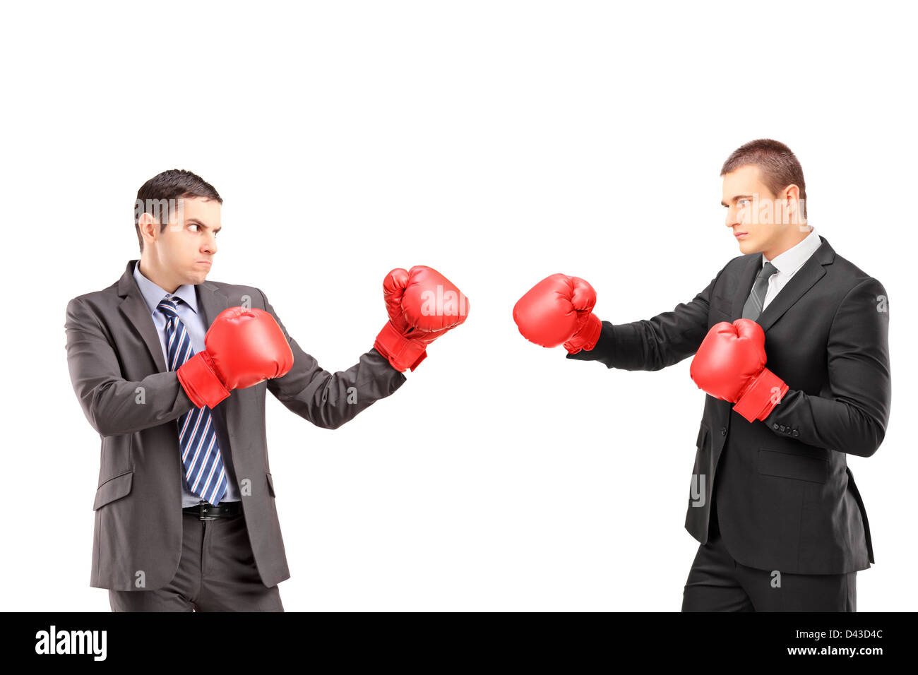 Deux jeunes hommes d'affaires avec des gants de boxe ayant un combat isolé sur fond blanc Banque D'Images