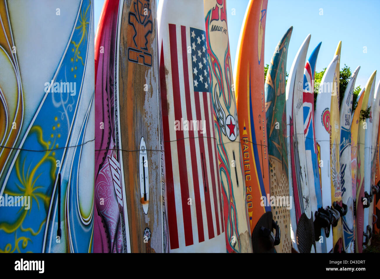 Le kite surf mur dans Maui, Hawaii Banque D'Images