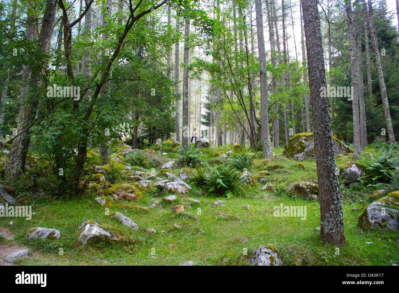 Val Masino, Valtellina, montagne, Italie, Nature, Banque D'Images