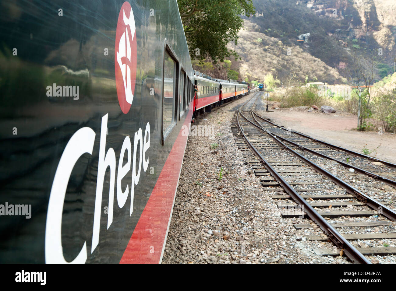 En train Chepe Copper Canyon, au Mexique. Copper Canyon est un groupe de composé de six canyons canyons distincts. Banque D'Images