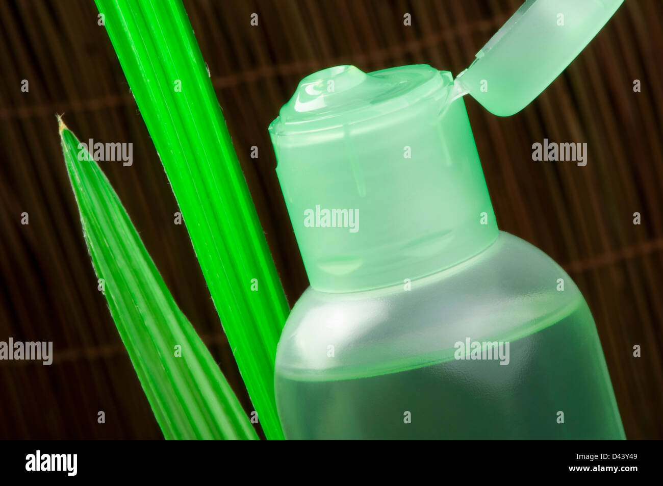 Cosmétique vert bouteille et vert feuille. Studio shot Banque D'Images