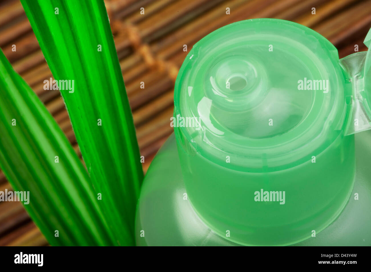 Cosmétique vert bouteille et vert feuille. Studio shot Banque D'Images