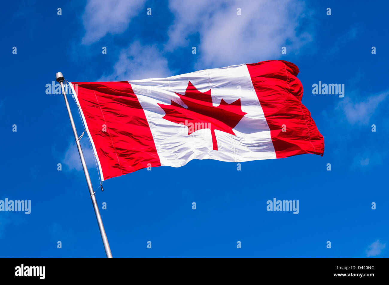 Brandir le drapeau canadien aganist Blye Sky, Halifax, Nouvelle-Écosse, Canada Banque D'Images