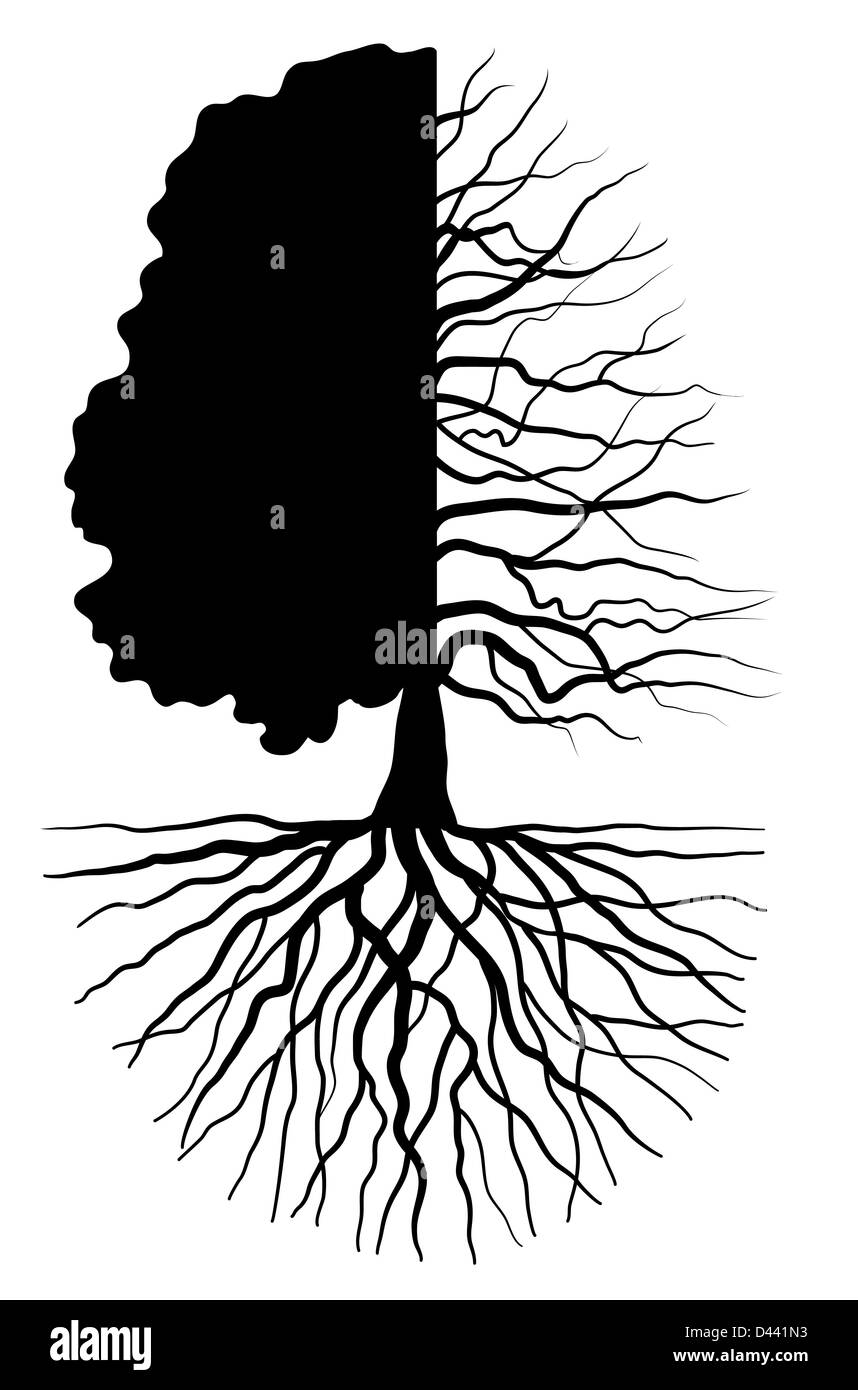La silhouette des arbres symbolisant les saisons concept Banque D'Images