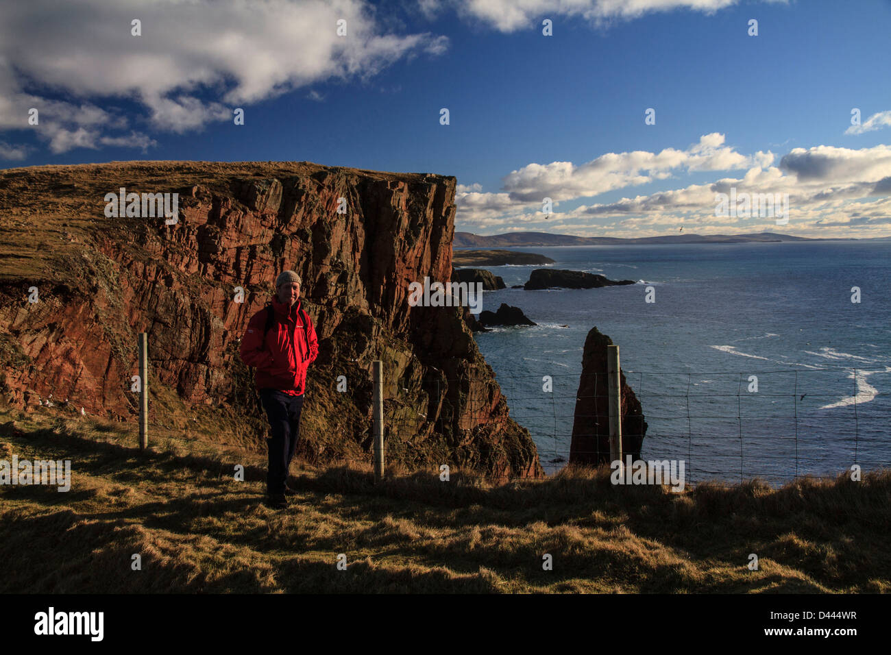 Un marcheur dans une veste rouge sur la lande à distance au-dessus de falaises à Silwick, Westside, Shetland, Écosse Banque D'Images