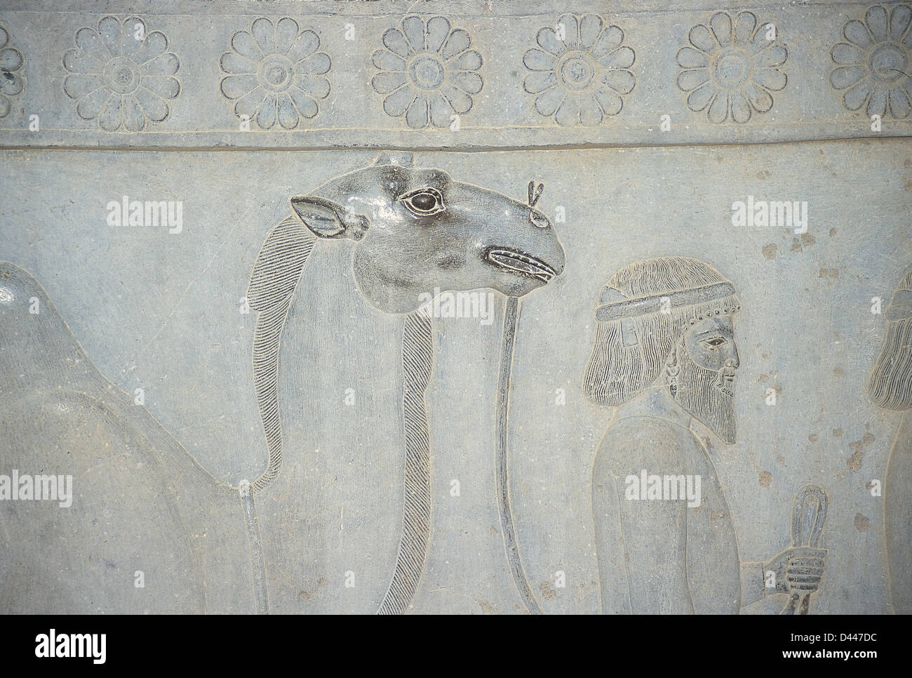L'Empire achéménide (550-330 avant J.-C.). Persepolis. Soulagement de l'escalier de l'Apadana. Détail. Délégation : la Bactriane offre. Banque D'Images