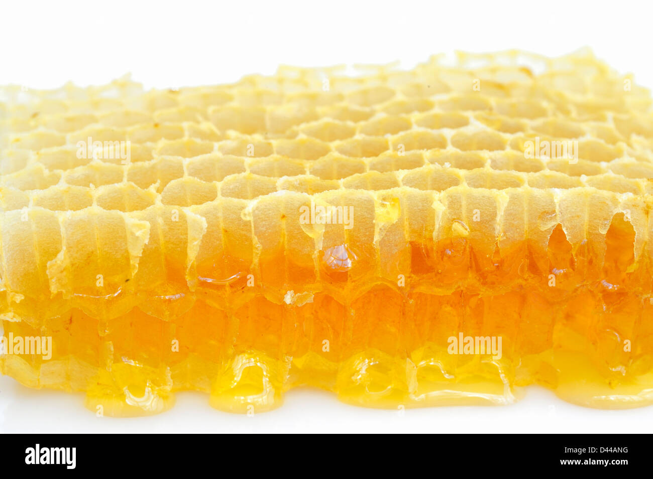 Le miel d'abeilles sur le fond blanc Banque D'Images