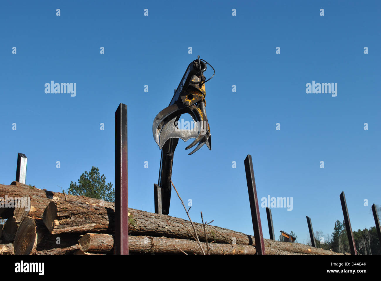 Chargement de bois à pâte griffe Banque D'Images