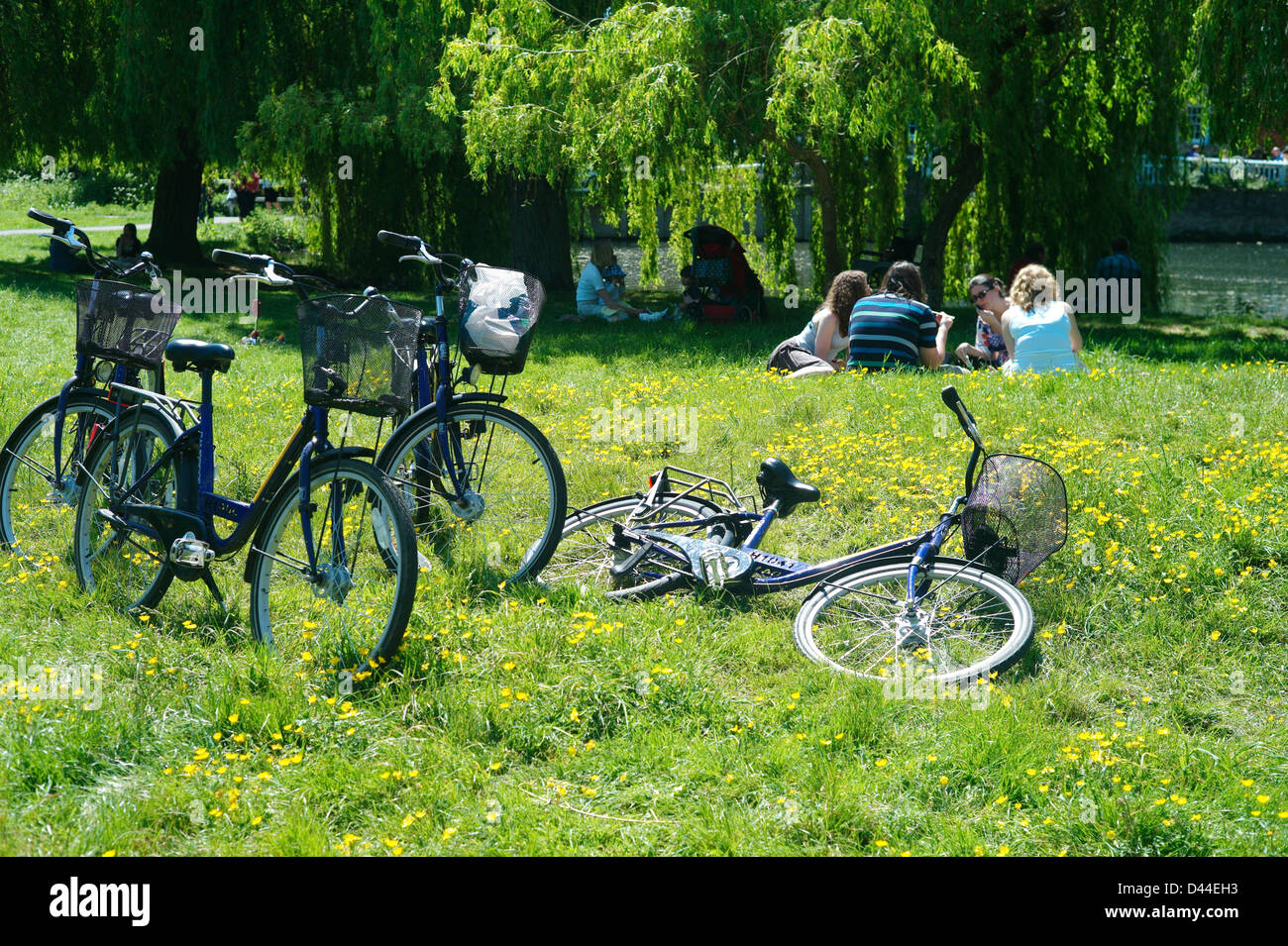 Cambridge, détente au bord de la rivière,Angleterre,Mai 2010 Étudiants se détendre au soleil au bord de la rivière Cam. Banque D'Images