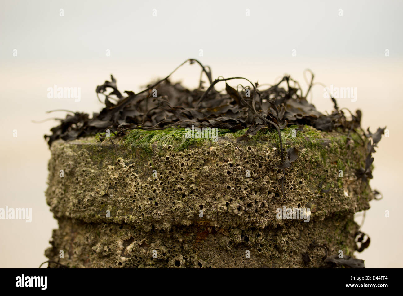 Tie de la barque de Pierre Banque D'Images