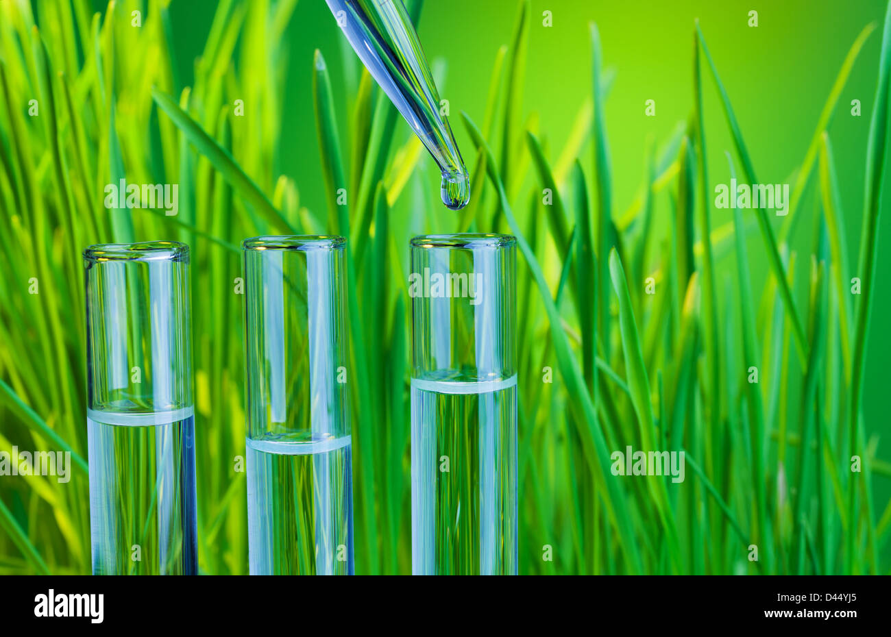 Tubes à essai avec de l'eau de source fraîche et compte-gouttes sur fond d'herbe Banque D'Images