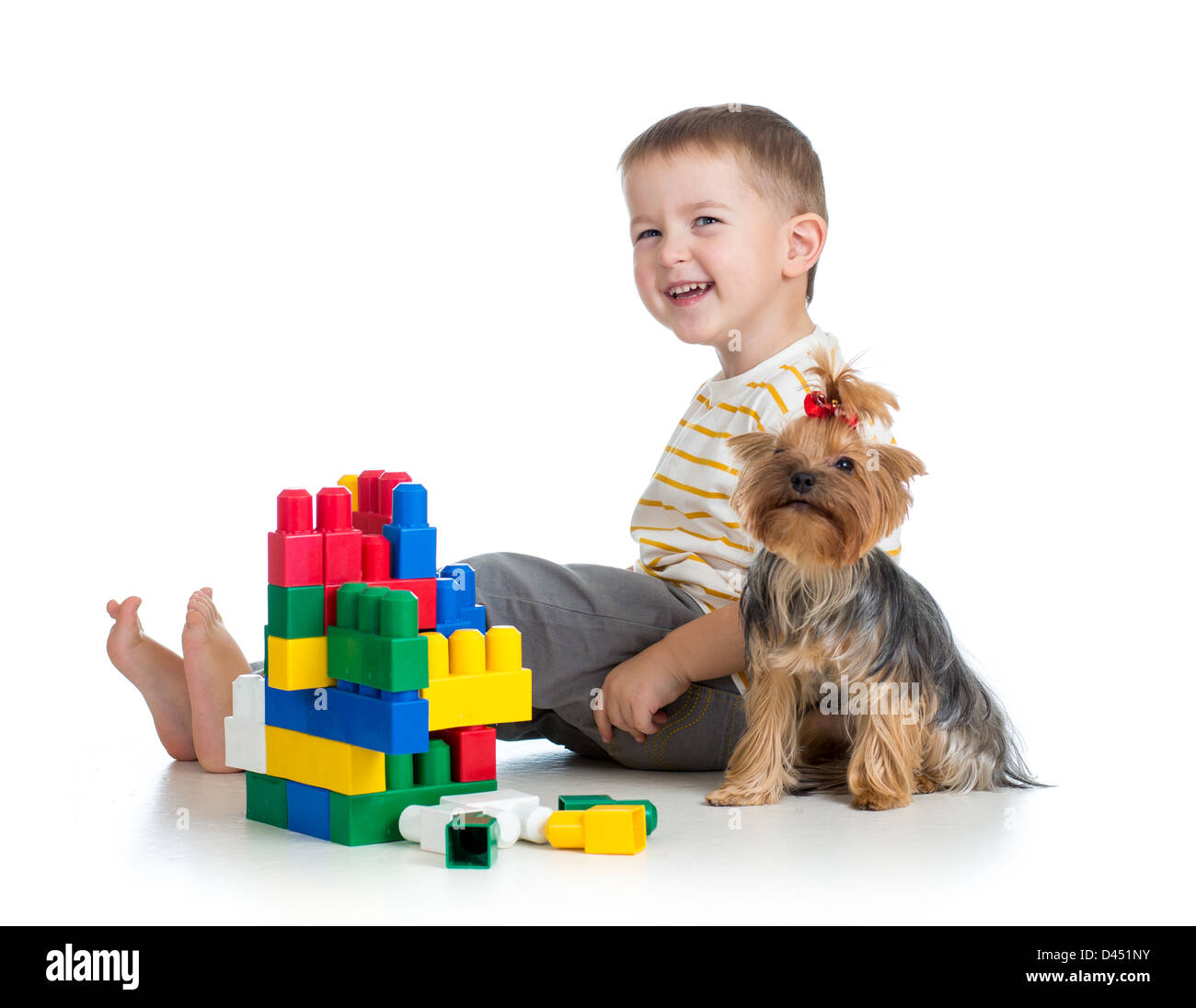 Enfant jouant avec des blocs de construction jouets. York chien terrier assis près de garçon. Banque D'Images