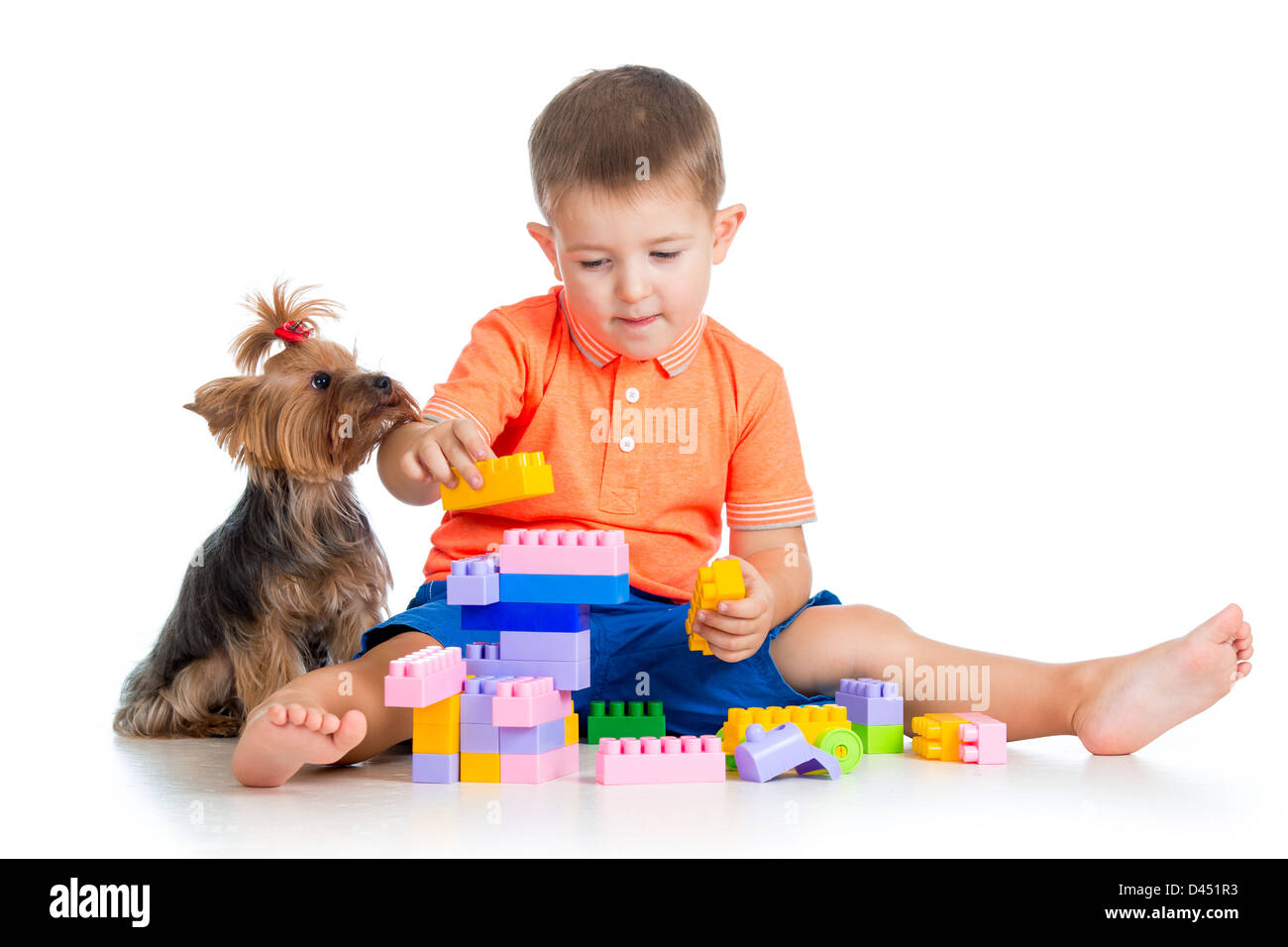 Enfant jouant avec des blocs de construction jouets. York chien terrier assis près de garçon. Banque D'Images