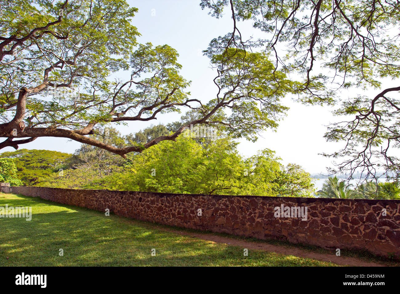 De vieux arbres SURPLOMBENT LES MURS DU FORT DE GALLE SRI LANKA Banque D'Images