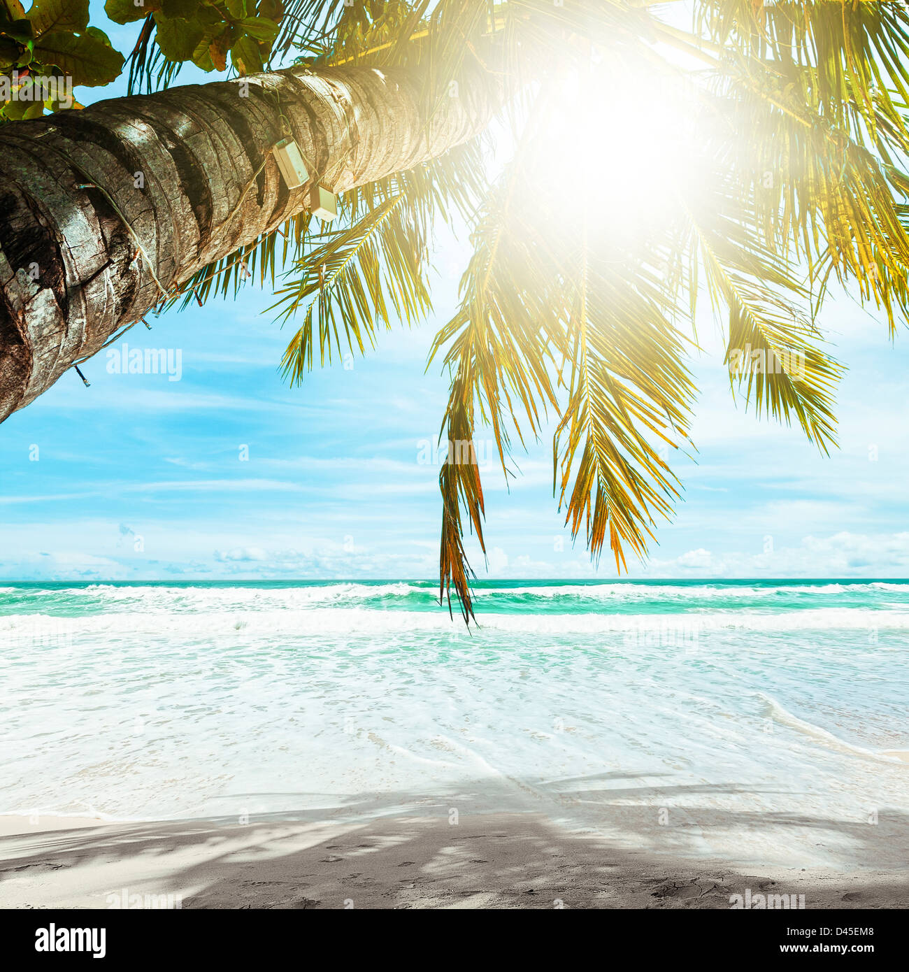 Plage tropicale en journée ensoleillée. La composition carrée. Banque D'Images Plage tropicale en journée ensoleillée. La composition carrée. Banque D'Images