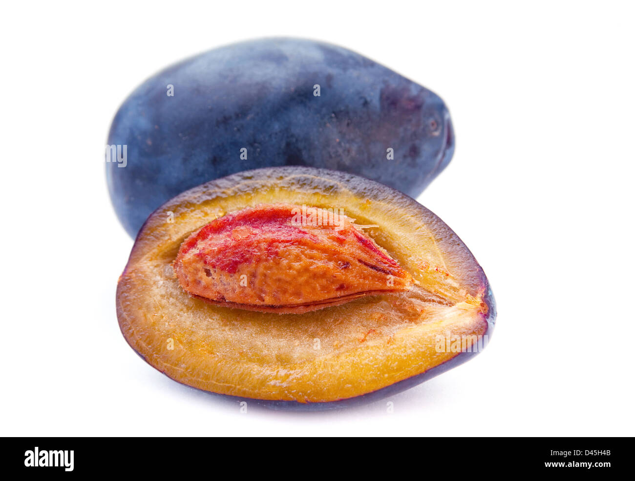 Prune isolé sur fond blanc Banque D'Images
