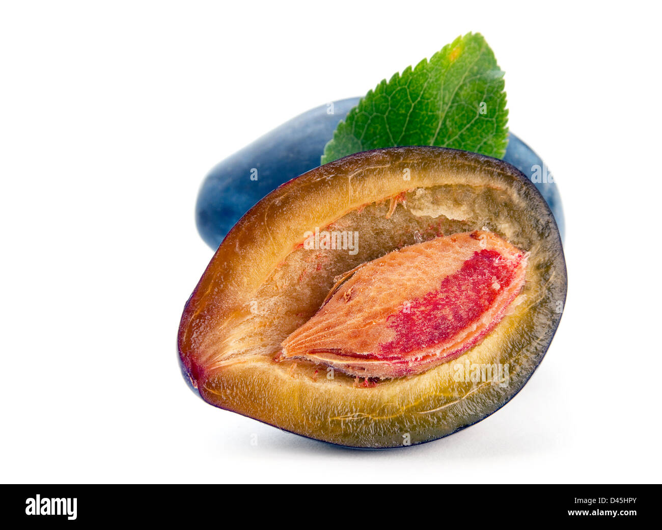 Prune isolé sur fond blanc Banque D'Images