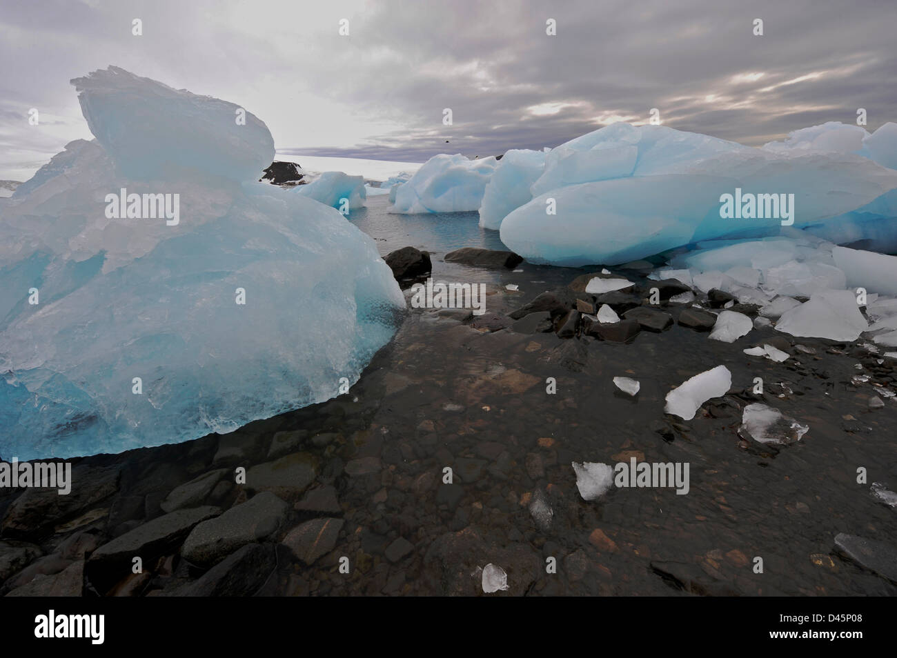 Gros icebergs échoués sur la baie de l'espoir, de l'Antarctique Banque D'Images