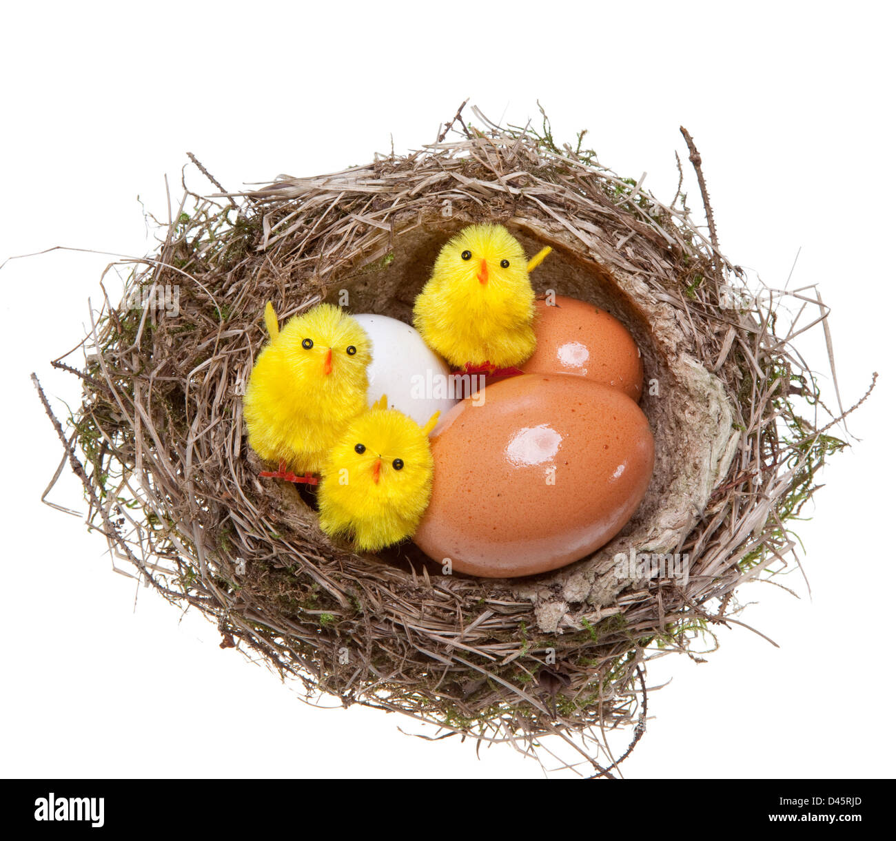 Birds Nest avec des œufs et poulets jouet à l'intérieur, sur fond blanc  Photo Stock - Alamy