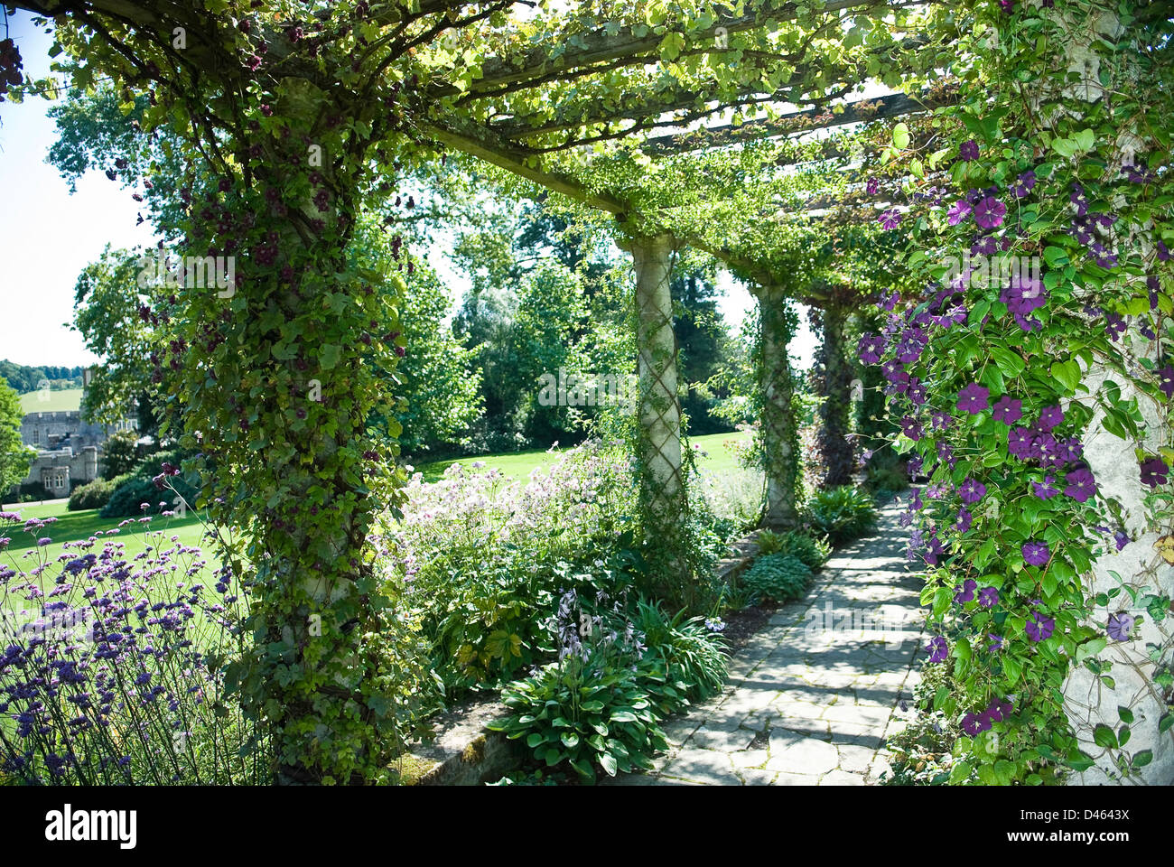 La pergola couverte de fleurs d'été à West Dean Gardens près de Chichester, West Sussex, UK Banque D'Images