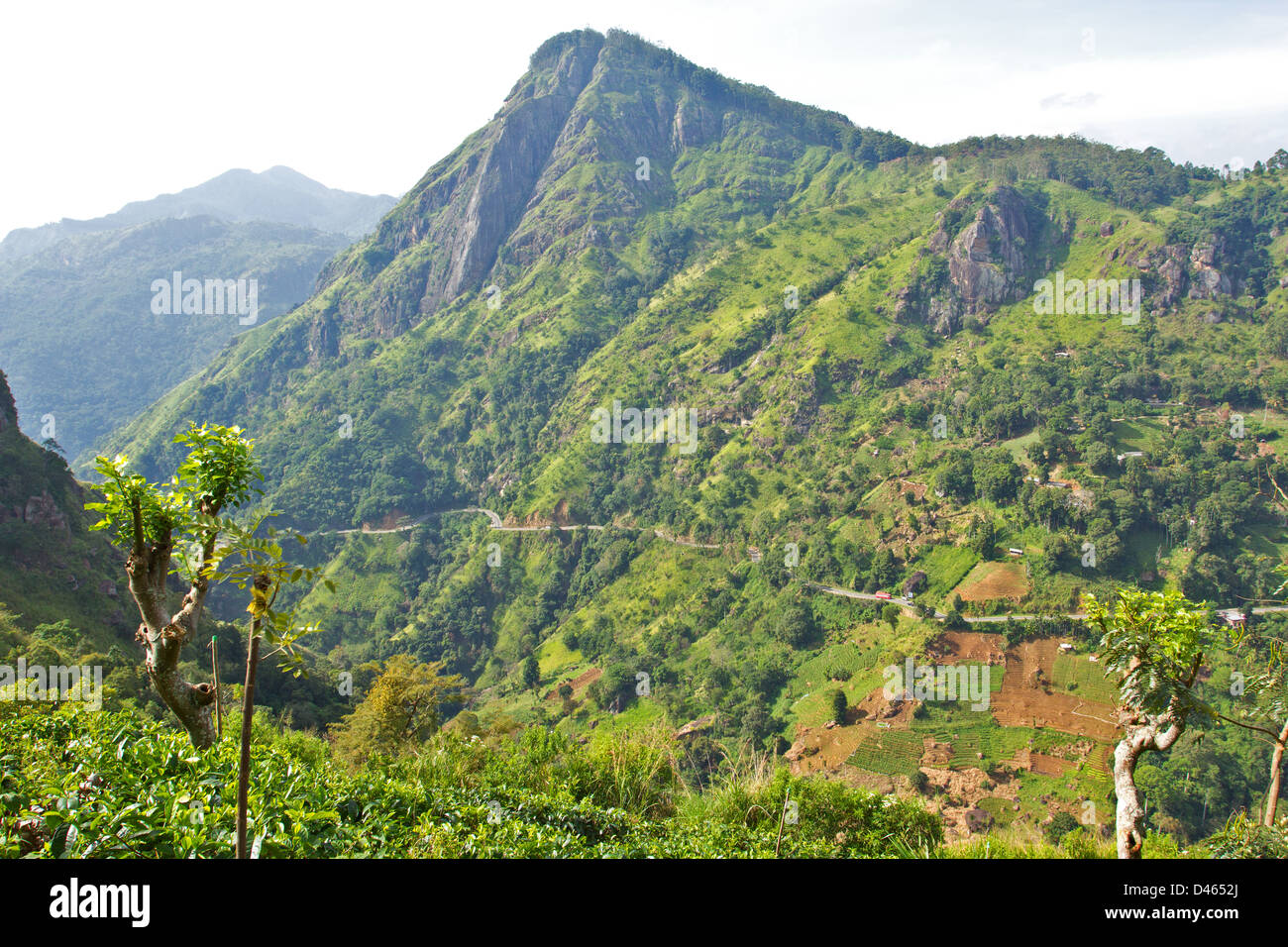ELLA ROCK VUE À TRAVERS L'ÉCART D'ELLA UNE PLANTATION DE THÉ AU SRI LANKA Banque D'Images