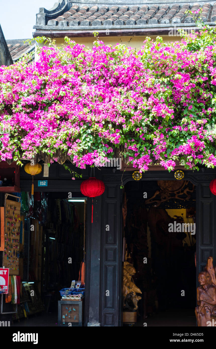 Fleurs violettes sur un bâtiment de style chinois dans Hoian, Vietnam Banque D'Images