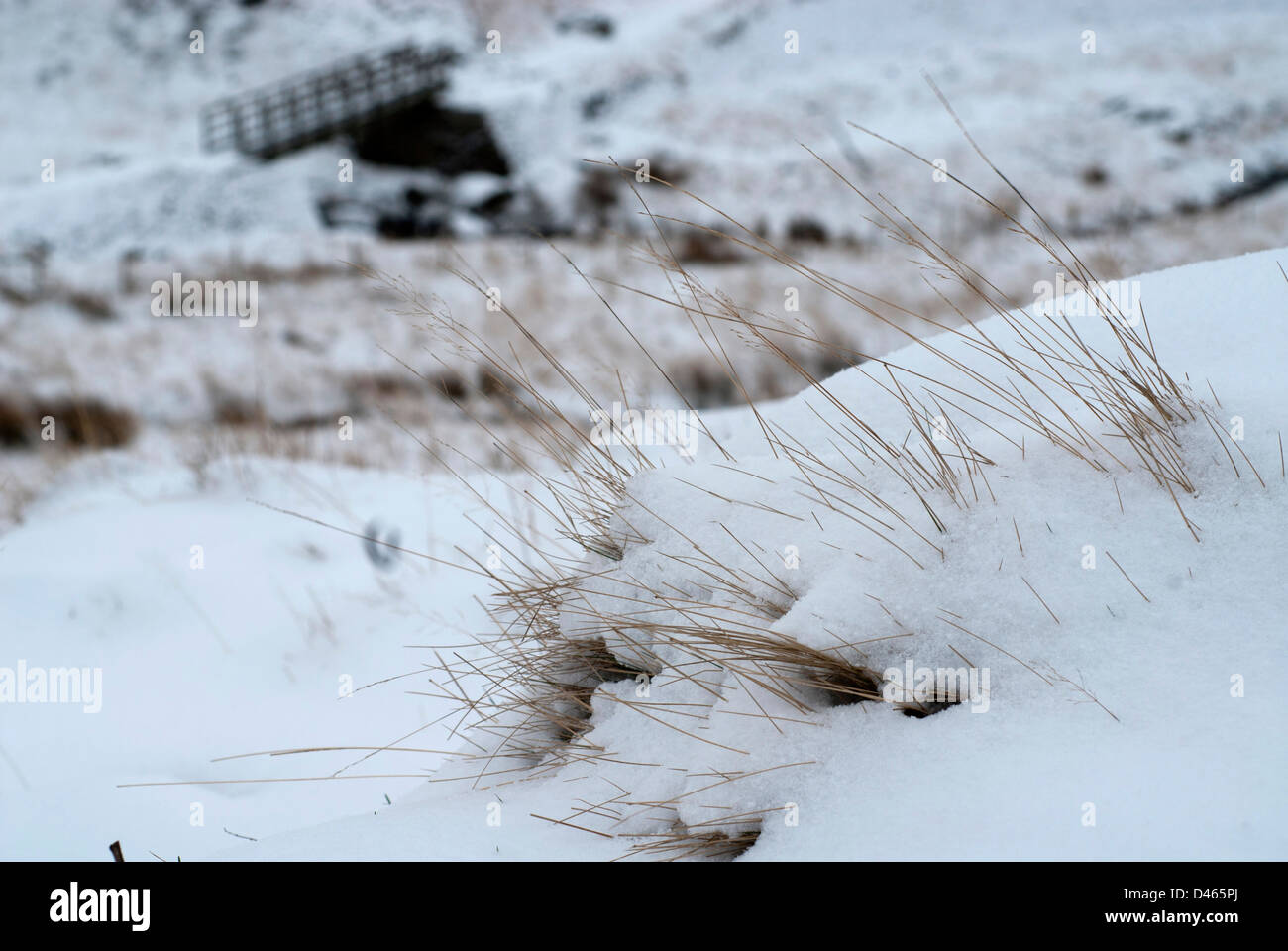 Pont en arrière-plan, la neige, le froid, la marche, le sauvetage, Banque D'Images