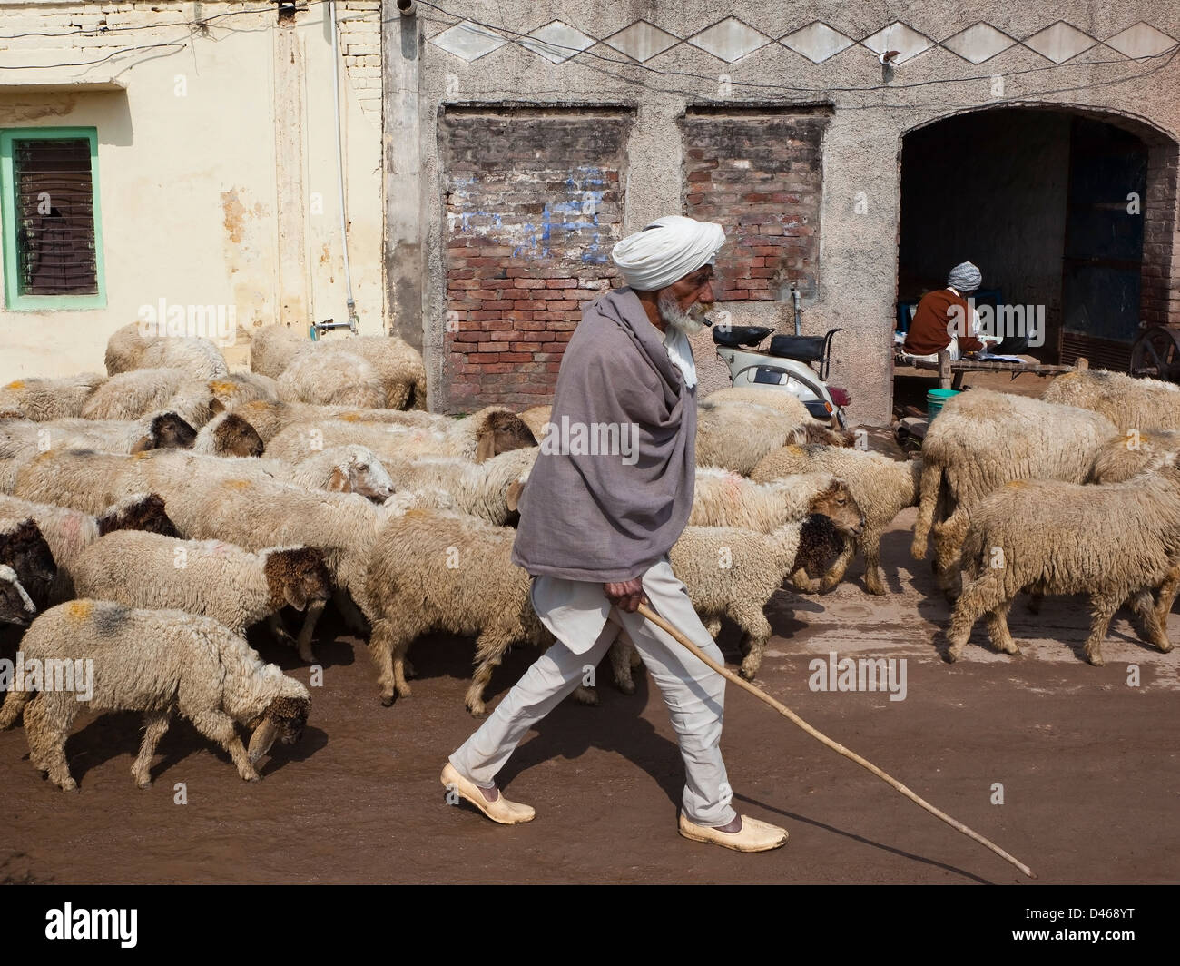 Un berger conduisant un troupeau de moutons dans les rues d'un petit village Punjabi traditionnel Banque D'Images