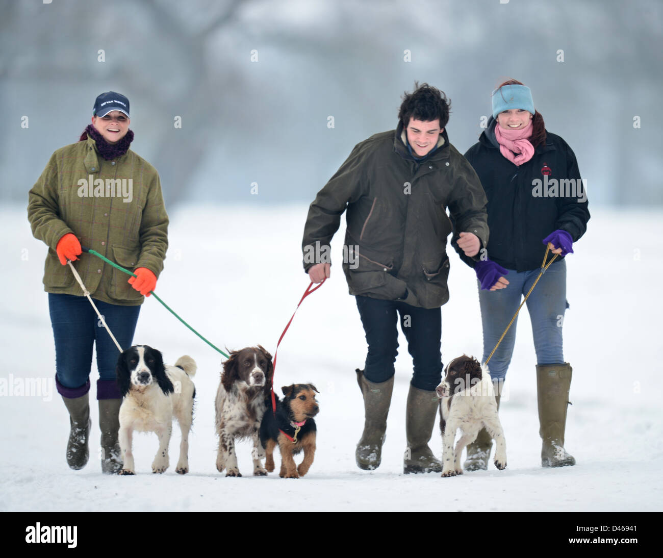 Trois jeunes gens l'exercice de leurs chiens dans le parc de badminton, Gloucestershire UK Banque D'Images