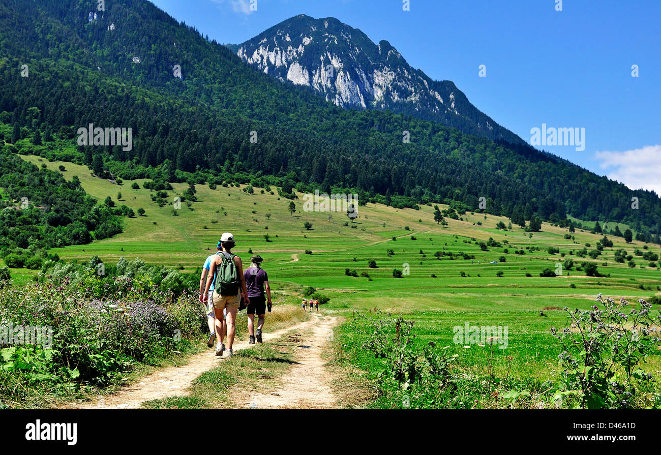 La randonnée dans les montagnes Piatra Craiului, Romenia Banque D'Images