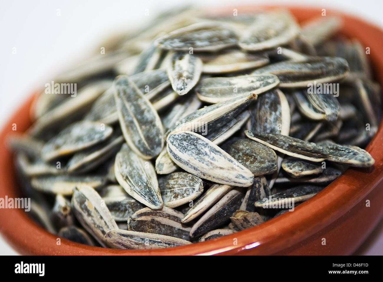 Graines de tournesol salées en pot en argile sur fond blanc Banque D'Images