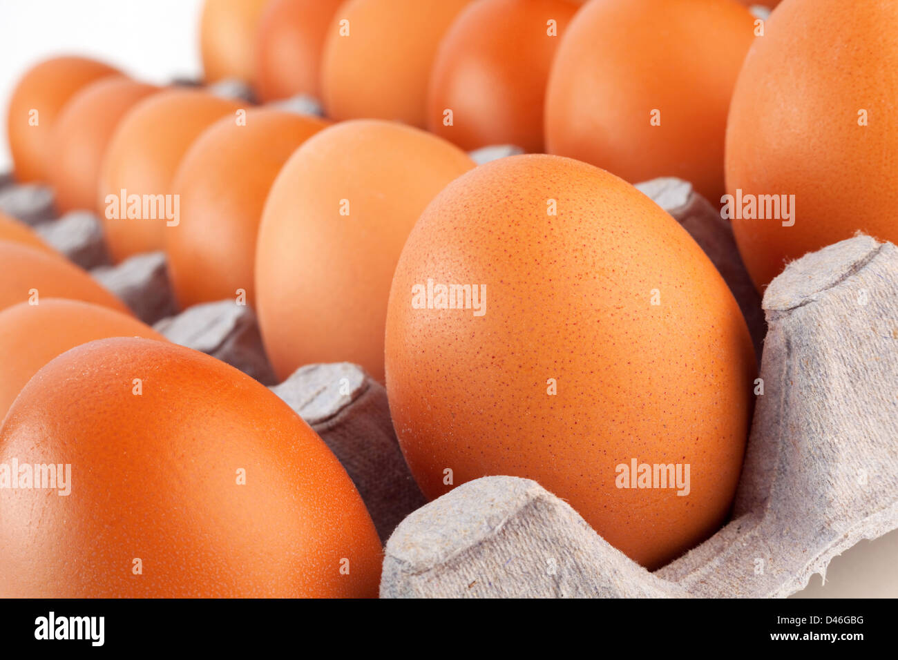 Oeuf de poule dans un emballage en carton Banque D'Images