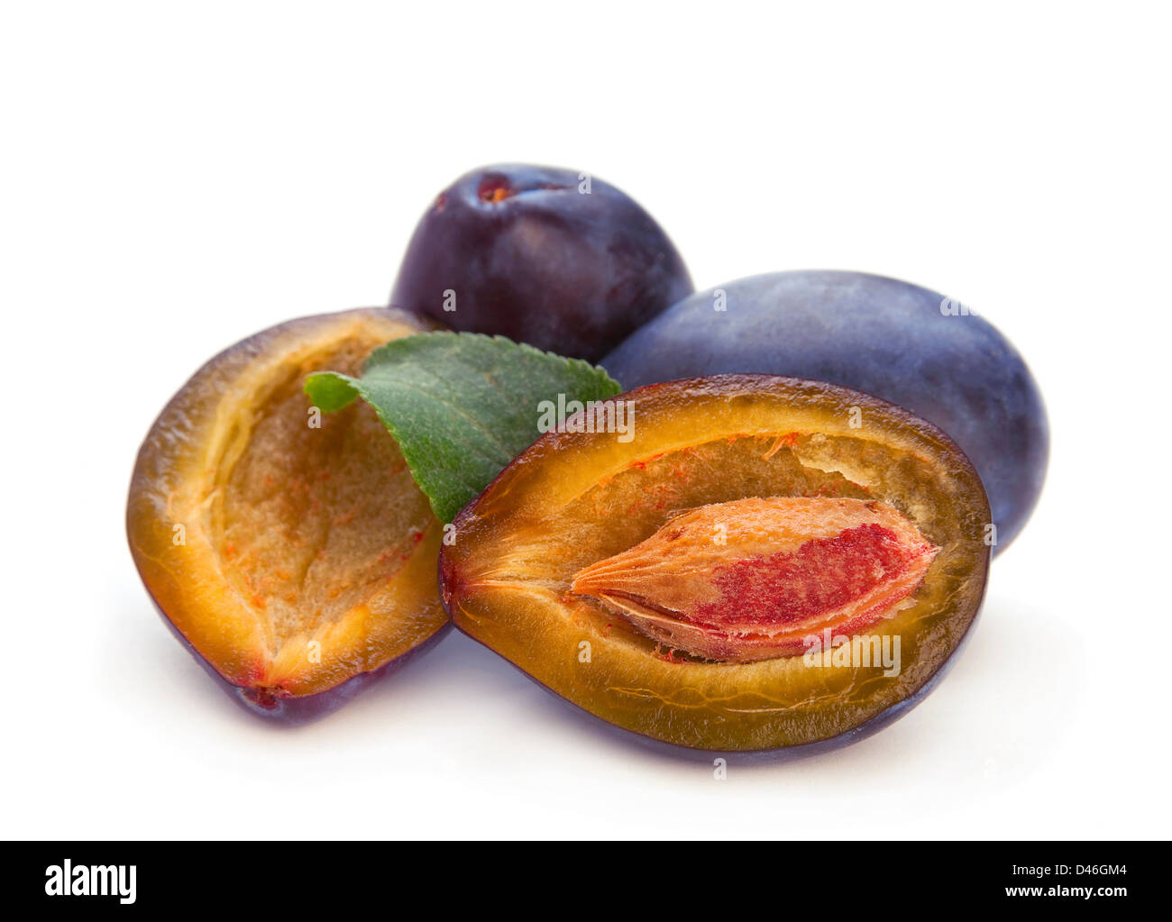 Prune isolé sur fond blanc Banque D'Images